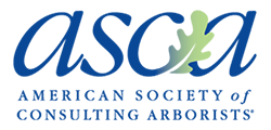 American Society of Consulting Arborists