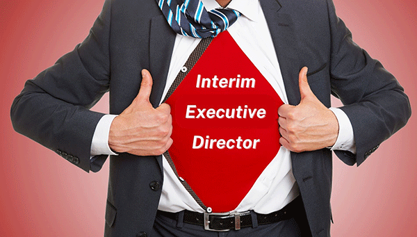 The Crucial Role of an Interim Executive Director in Navigating  Leadership Transitions for Associations